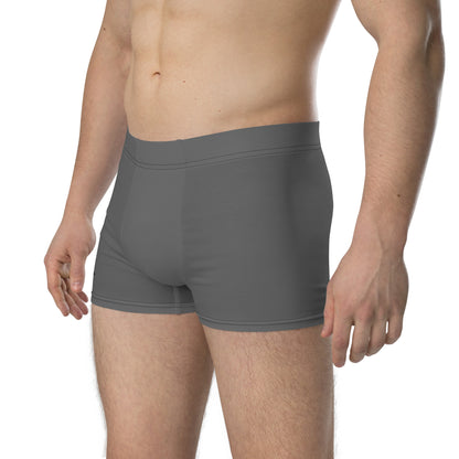 Athelon Men's Boxer Briefs - Gray